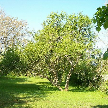 Chez Scallan B&B Sens sur Seille Ngoại thất bức ảnh